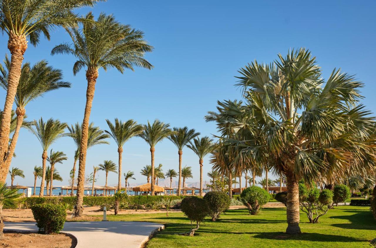 Hotel Coral Sea Waterworld Sharm El Sheikh Exteriér fotografie